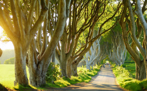 Ceļojums uz Ziemeļīriju ar FlyMeAway